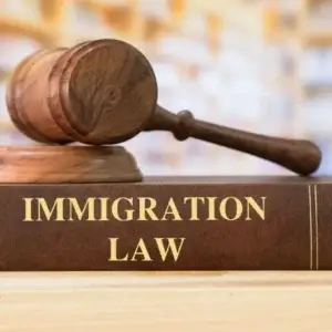 ADVOCACY & LITIGATION FOR IMMIGRATION LAWYERS